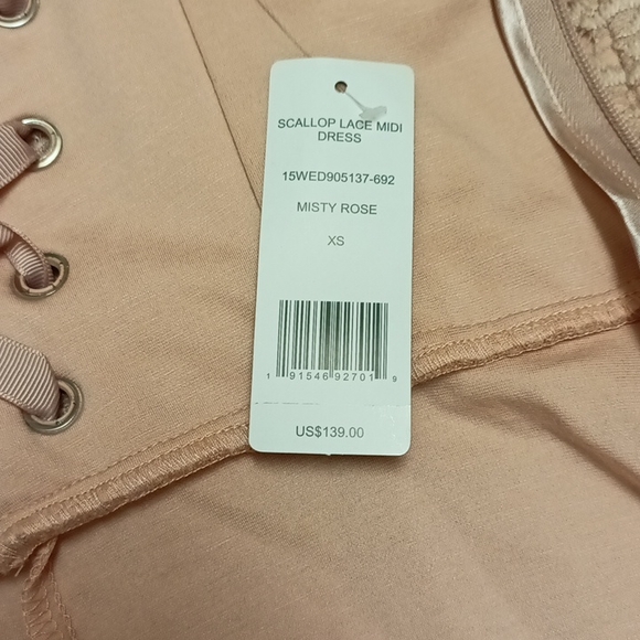 Bebé Scallop Lace midi Dress - Picture 9 of 12